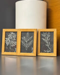 3'lü 10x15 cm Meşe Oval Bitişli Set | Duvar ve Masa Çerçevesi - FlorenziArt