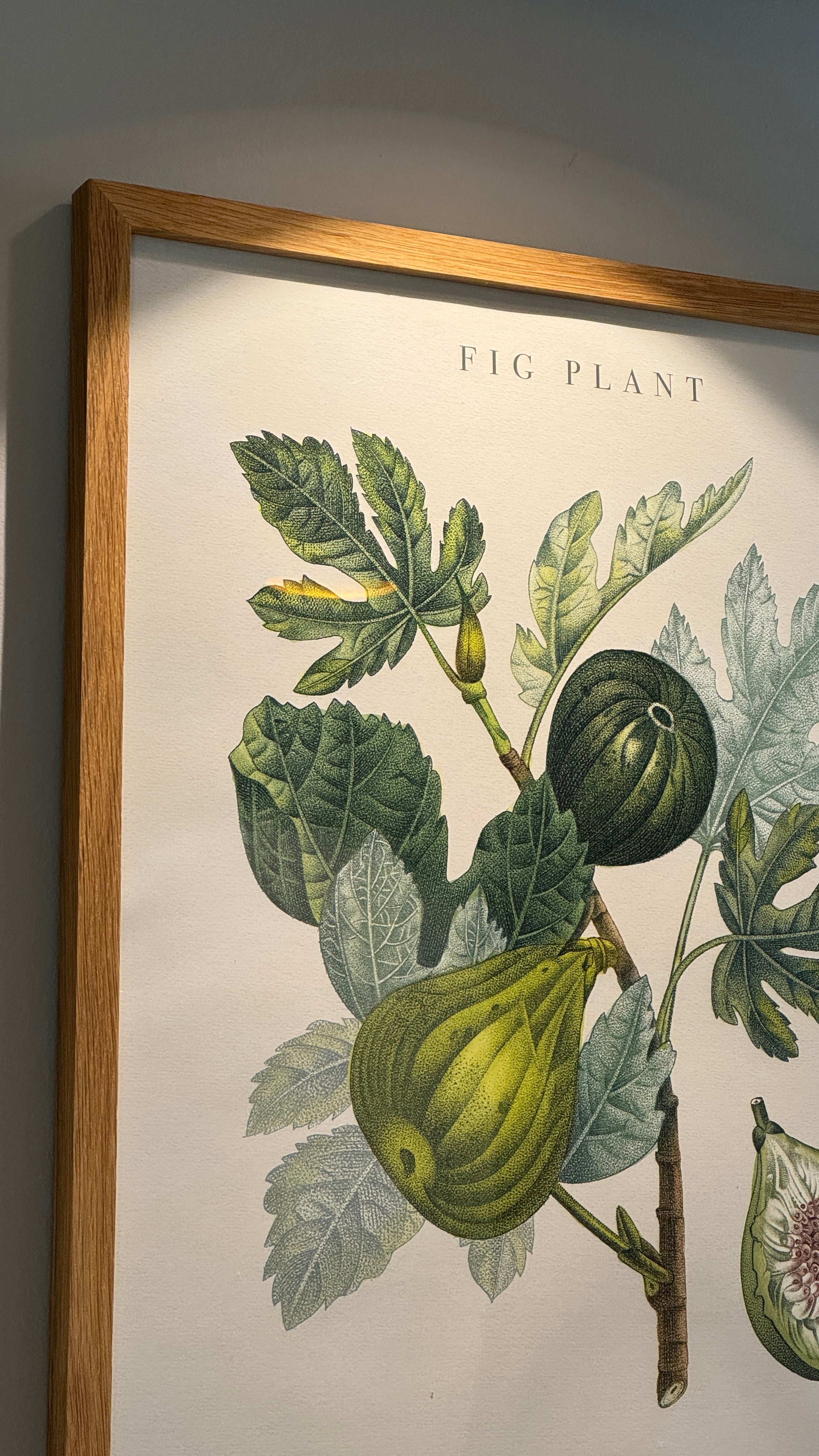 40x50 cm Naturel Meşe Poster ve Sanat Baskısı Çerçevesi | El Yapımı Ahşap Çerçeve